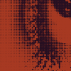 Ethno Belek Plaj Havuzlar Thumbnail Card4