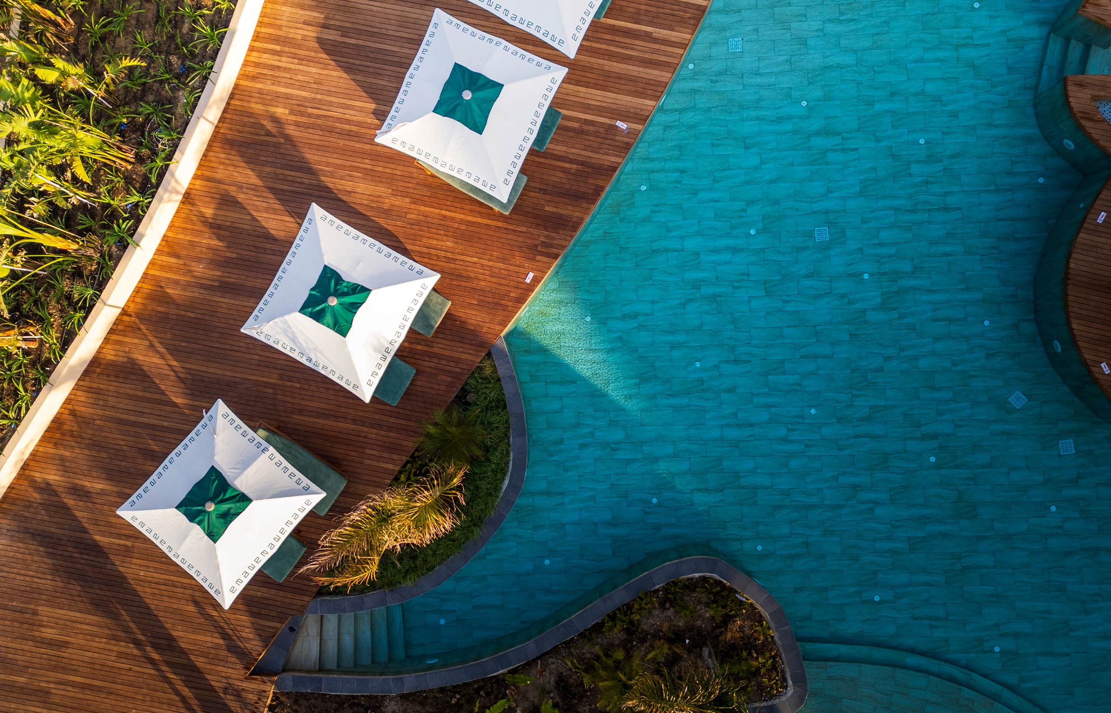 Pool Web 1