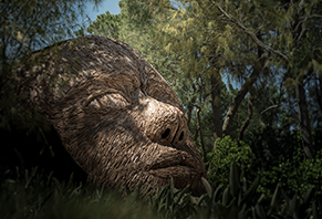 Ethno Blog Yavas Seyahat Small Card