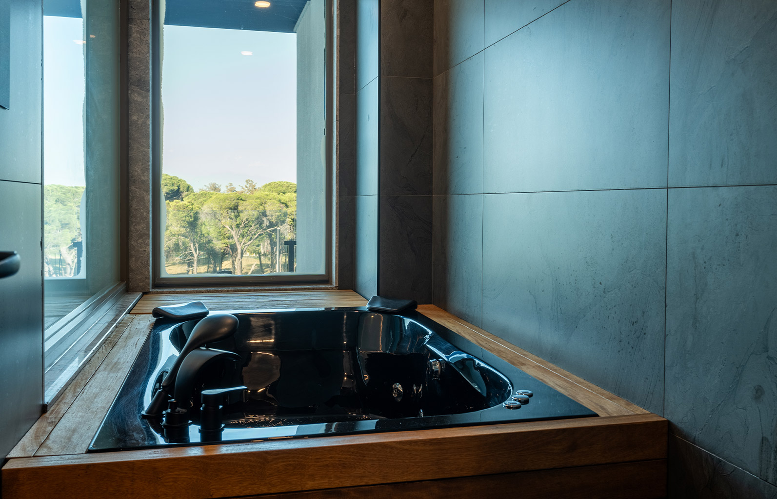 Superiorjacuzzi Galeri 4